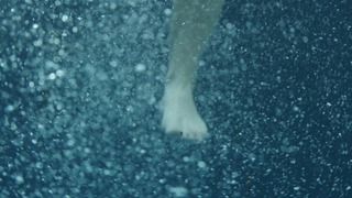 Maeve Dermody feet photo 10