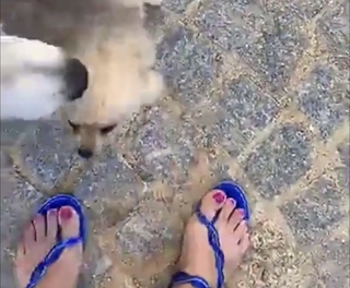 Magali Berdah feet photo 6