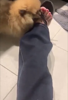 Magali Berdah feet photo 4
