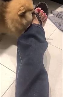 Magali Berdah feet photo 3