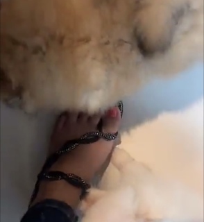 Magali Berdah feet photo 16