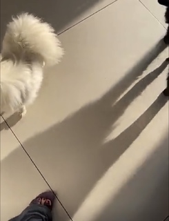 Magali Berdah feet photo 5