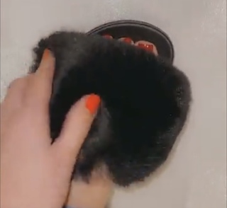 Magali Berdah feet photo 20