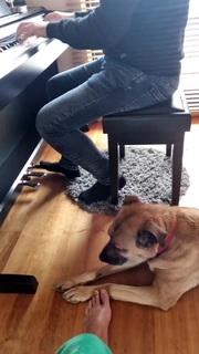 Magda Steczkowska feet photo 9