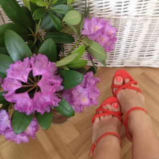 Magdalena Waligórska feet photo 17