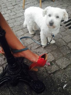Magdalena Waligórska feet photo 3