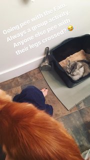 Maggie Geha feet photo 12