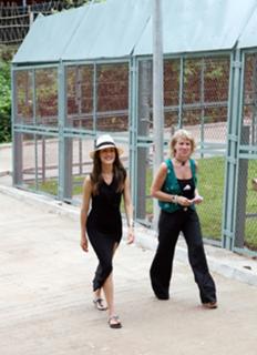 Maggie Q feet photo thumbnail
