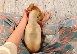 Maggy feet photo thumbnail