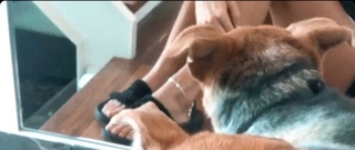 Magui Bravi feet photo thumbnail