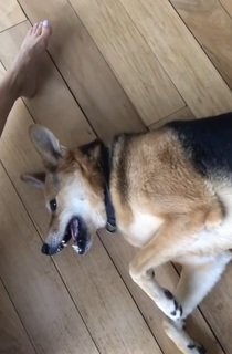 Magui Bravi feet photo thumbnail