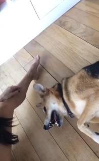 Magui Bravi feet photo thumbnail