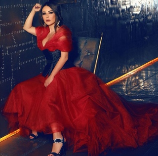 Maguy Bou Ghosn feet photo 12