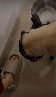 Mahi Sharma feet photo 13