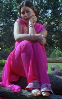 Mahima Chaudhry feet photo thumbnail