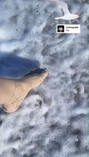 Mahnaz Afshar feet photo thumbnail