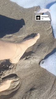 Mahnaz Afshar feet photo thumbnail
