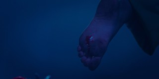 Maia Reficco feet photo 17