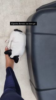 Maisa feet photo thumbnail