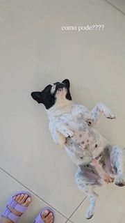 Maisa feet photo thumbnail