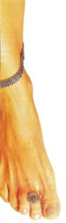 Maitê Proença feet photo 3