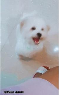 Maja Salvador feet photo 14