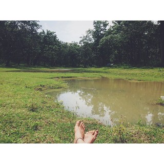 Malavika Mohanan feet photo thumbnail