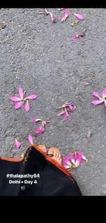 Malavika Mohanan feet photo thumbnail