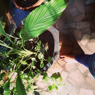 Malavika Wales feet photo 3