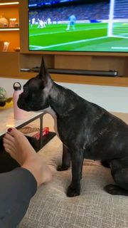 Malena Costa feet photo 8