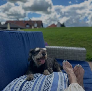 Malgorzata Kozuchowska feet photo 1