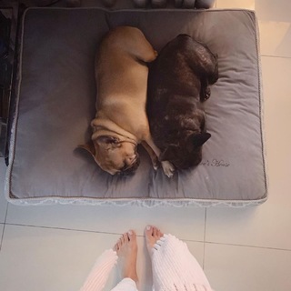 Malgorzata Rozenek feet photo thumbnail