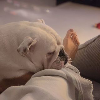 Malgorzata Rozenek feet photo thumbnail