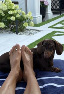 Malgorzata Rozenek feet photo 12