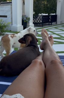Malgorzata Rozenek feet photo 11