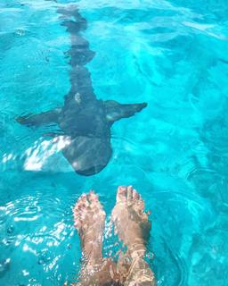 Malia White feet photo 3
