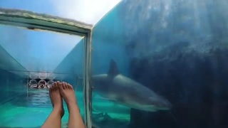 Malia White feet photo 3