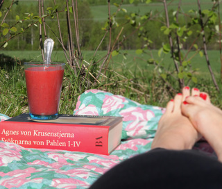 Malin Wollin feet photo 19
