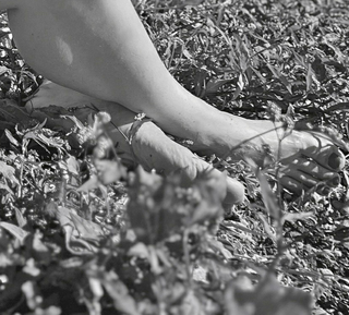 Malin Wollin feet photo 7