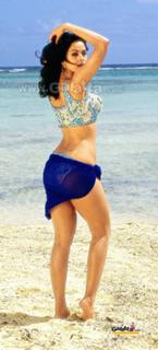 Mallika Sherawat feet photo thumbnail