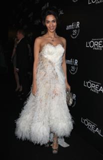 Mallika Sherawat feet photo thumbnail