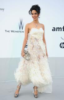 Mallika Sherawat feet photo thumbnail
