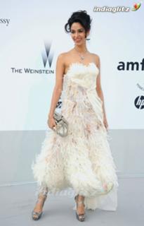 Mallika Sherawat feet photo thumbnail