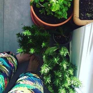 Mallu Magalhães feet photo 9