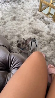 Malu Trevejo feet photo thumbnail