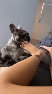 Malu Trevejo feet photo thumbnail