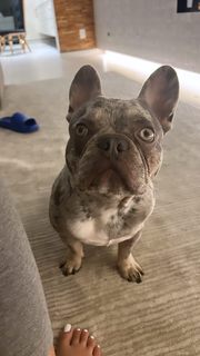Malu Trevejo feet photo thumbnail