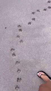 Malu Trevejo feet photo thumbnail