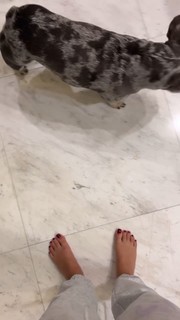 Malu Trevejo feet photo thumbnail