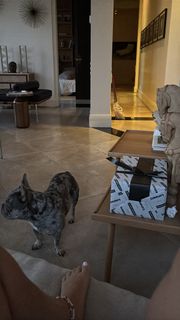 Malu Trevejo feet photo thumbnail